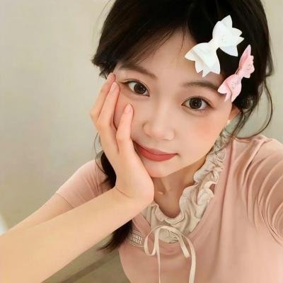 安妮回忆录